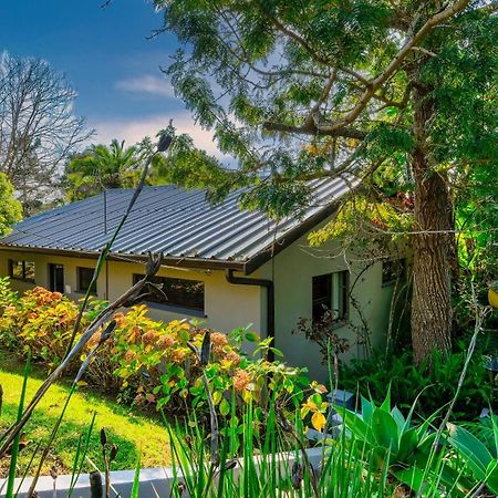 Hildesheim Guest Lodge Wildernis Kültér fotó